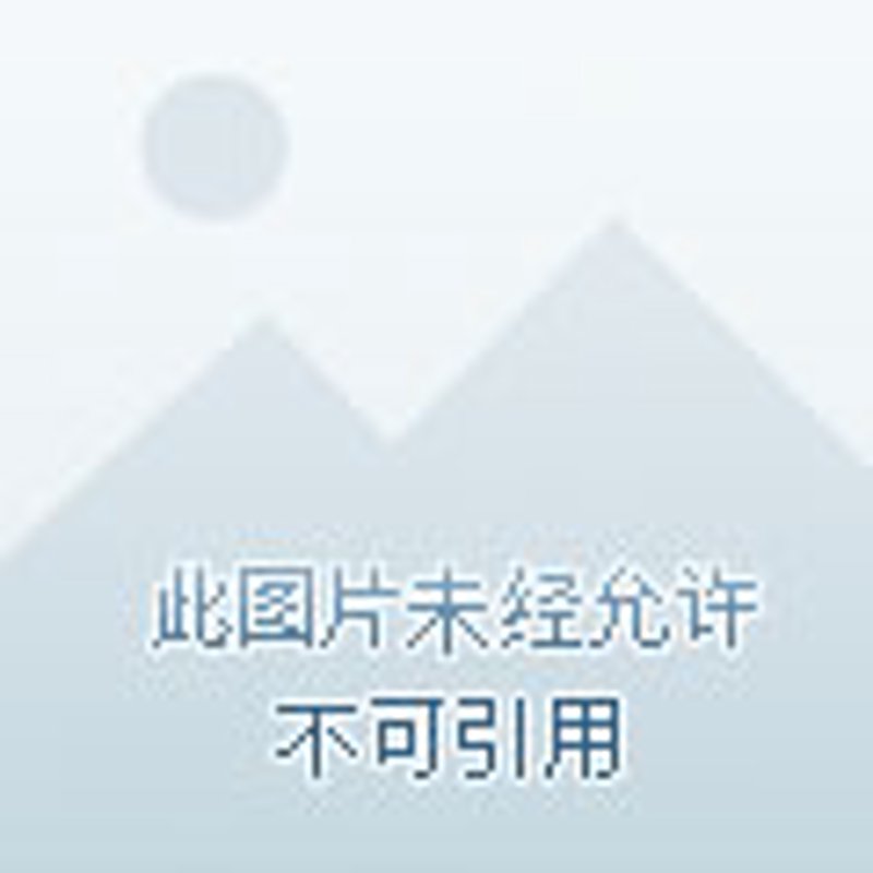 重庆商贸行业的风向标:商家动态解析